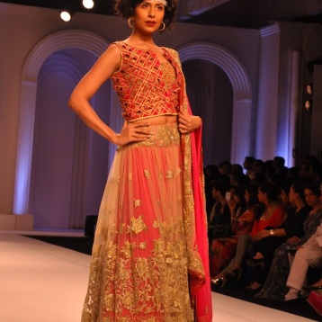 Didn't like the cutwork blouse but otherwise it was a pretty lehenga